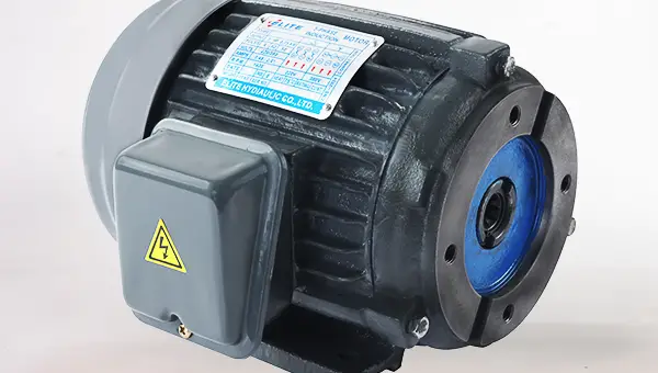 Motores eléctricos de eje hueco