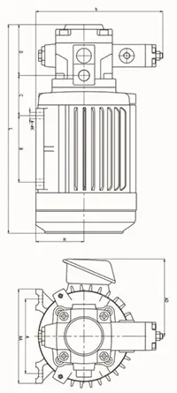 Unidad de motor/bomba de paletas serie HSW